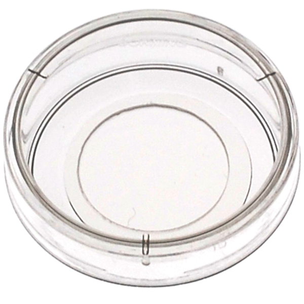 6 Well glass bottom plate with high performance #1.5 cover glass